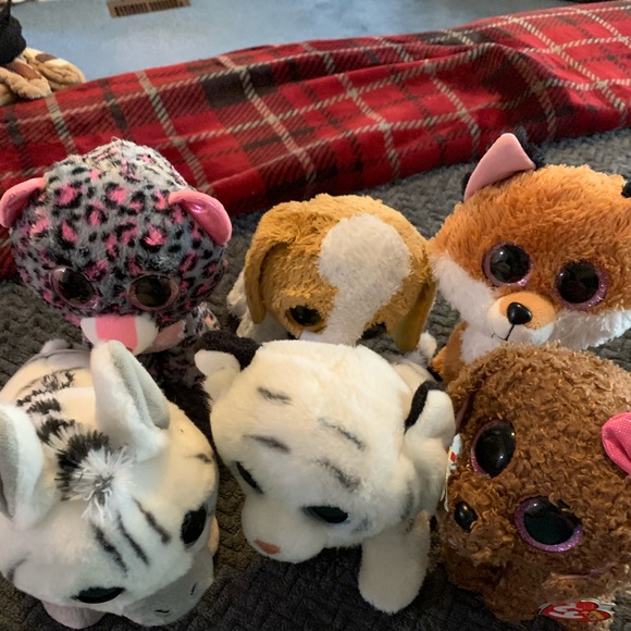 Ty Other - Ty stuffed animals lot